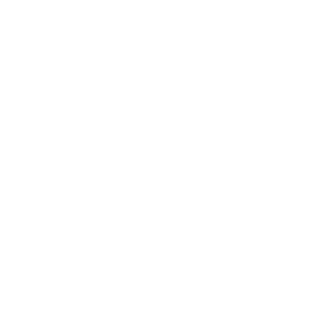 AIT-Home-Delivery-Logo-White (1)