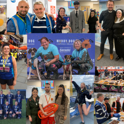 Copy-of-Charities-across-the-year